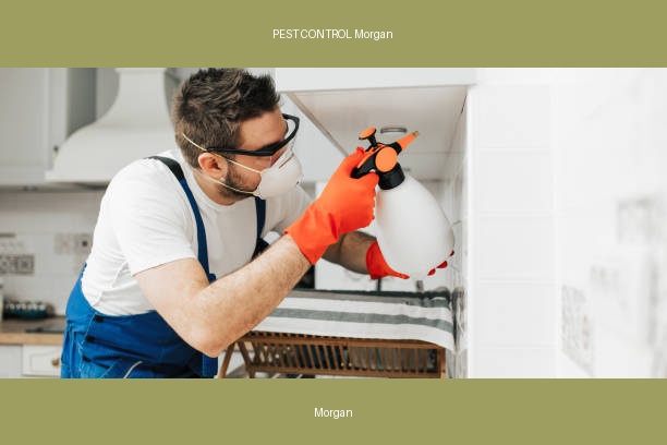 PEST CONTROL Morgan